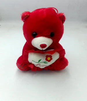Valentine Teddy Bear